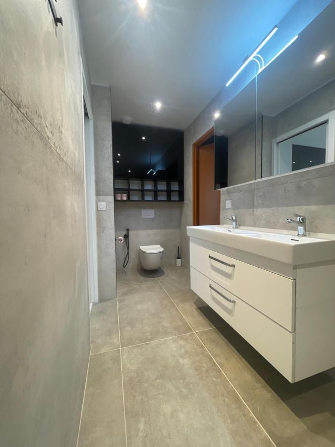Apartament Chez Flo Grenoble Zewnętrze zdjęcie