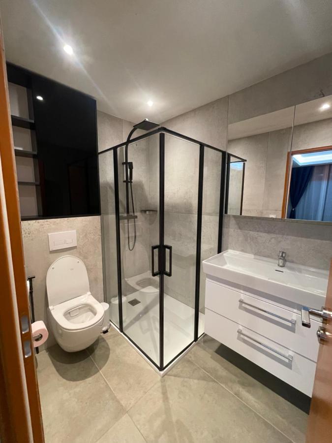 Apartament Chez Flo Grenoble Zewnętrze zdjęcie