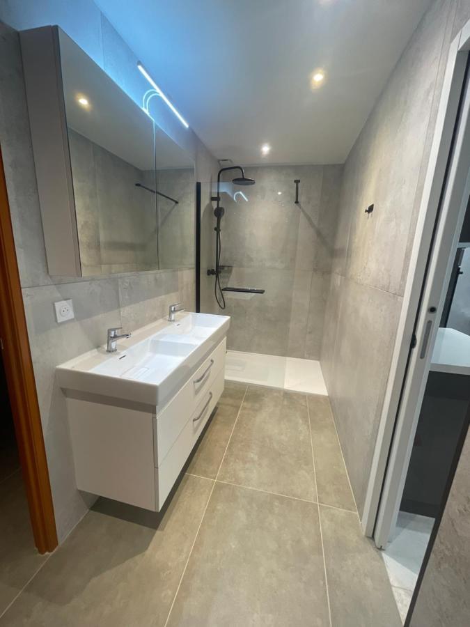 Apartament Chez Flo Grenoble Zewnętrze zdjęcie