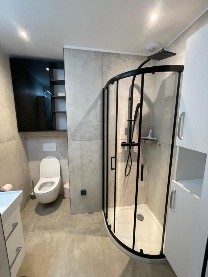 Apartament Chez Flo Grenoble Zewnętrze zdjęcie